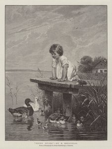 Jonge eenden door Robert Julius Beyschlag
